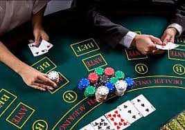 442 bet